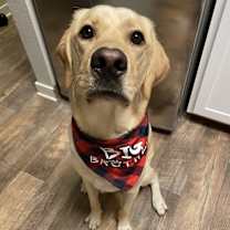 Thumbnail photo of Murphy #1