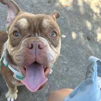 Thumbnail photo of Ladybug #2