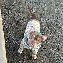 Thumbnail photo of Ladybug #3