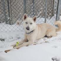 Thumbnail photo of Cola #1