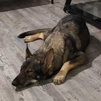 Thumbnail photo of Nikki #2