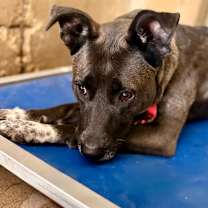 Thumbnail photo of Wanda #2