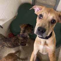 Thumbnail photo of Freckles #3