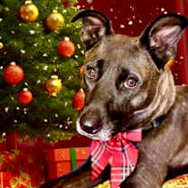 Thumbnail photo of Wanda #4