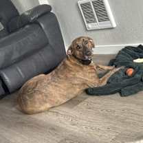 Thumbnail photo of Waverly #1