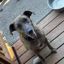 Thumbnail photo of Waverly #2