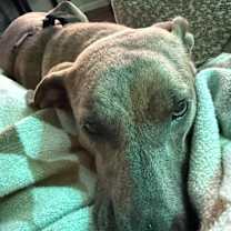 Thumbnail photo of Waverly #3