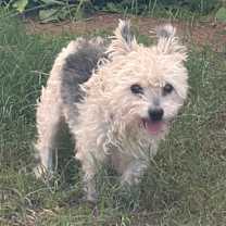 Thumbnail photo of Leilani #1