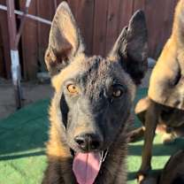 Thumbnail photo of Gaza #1