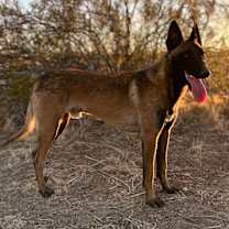 Thumbnail photo of Gaza #3