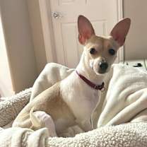 Thumbnail photo of Rosieta #2