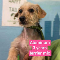 Thumbnail photo of Aluminum #2