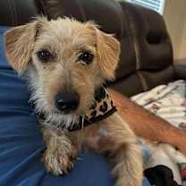 Thumbnail photo of Aluminum #3