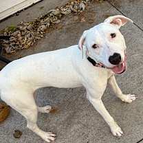 Thumbnail photo of Funyun $450 #2