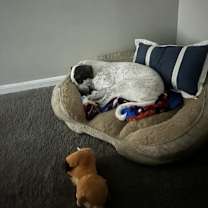 Thumbnail photo of Charlie #2