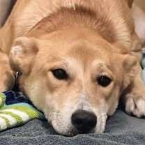 Thumbnail photo of Galinda #3