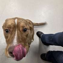 Thumbnail photo of Jafar #4