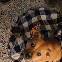 Thumbnail photo of Cindy Lou #4