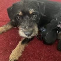 Thumbnail photo of Spirit #2