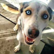 Thumbnail photo of 59905487 #1