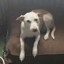 Thumbnail photo of Mama T #3