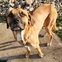 Thumbnail photo of Gus #4