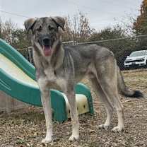 Thumbnail photo of Barnum #3