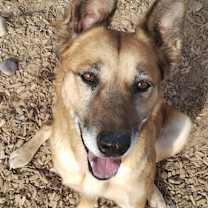 Thumbnail photo of BELLA #1