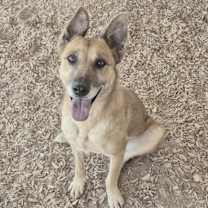 Thumbnail photo of BELLA #2