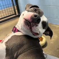 Thumbnail photo of Navi #3