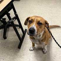 Thumbnail photo of Fleecy #3