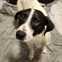 Thumbnail photo of Birdie #1