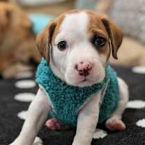 Thumbnail photo of Skylar #1