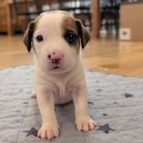 Thumbnail photo of Skylar #2