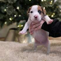 Thumbnail photo of Skylar #3