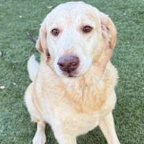 Thumbnail photo of Charlotte #2