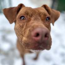 Thumbnail photo of Freddy #2