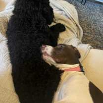 Thumbnail photo of MJ #3