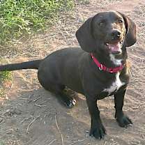 Thumbnail photo of CLEO #3