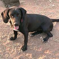 Thumbnail photo of CLEO #4