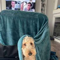 Thumbnail photo of RUBY #12 #4