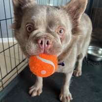 Thumbnail photo of Nube #2