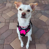 Thumbnail photo of Keeba #1