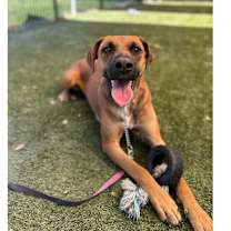 Thumbnail photo of Reba - ECAS #4