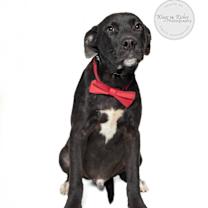 Thumbnail photo of Benny #4