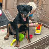 Thumbnail photo of Kona #3