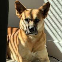 Thumbnail photo of Luna #1