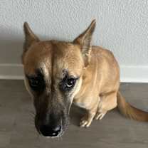 Thumbnail photo of Luna #2