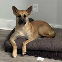 Thumbnail photo of Luna #3