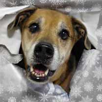 Thumbnail photo of Twix JuM/AG #1